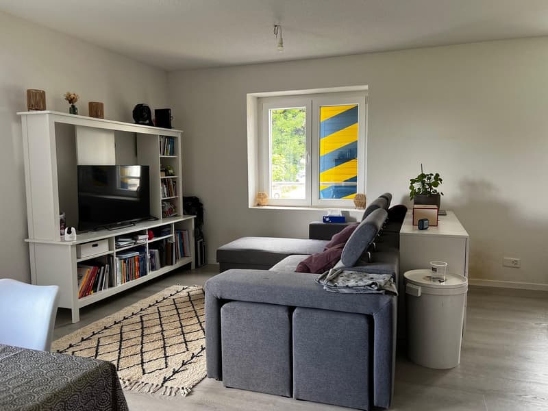 Prächtiges Loft mit privatem Garten (5)