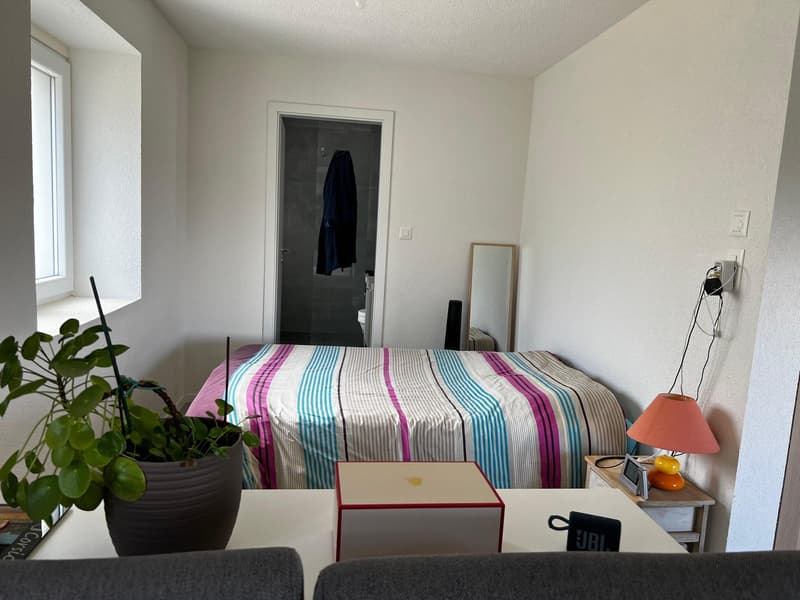 Prächtiges Loft mit privatem Garten (6)