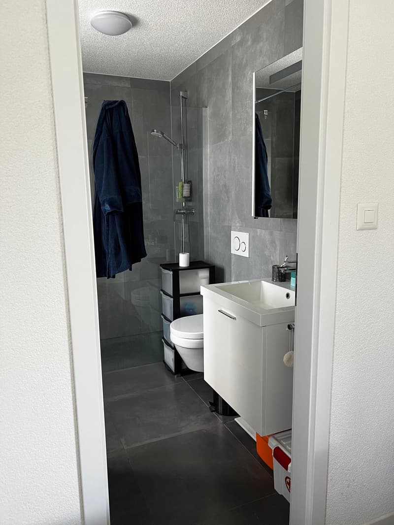 Prächtiges Loft mit privatem Garten (7)