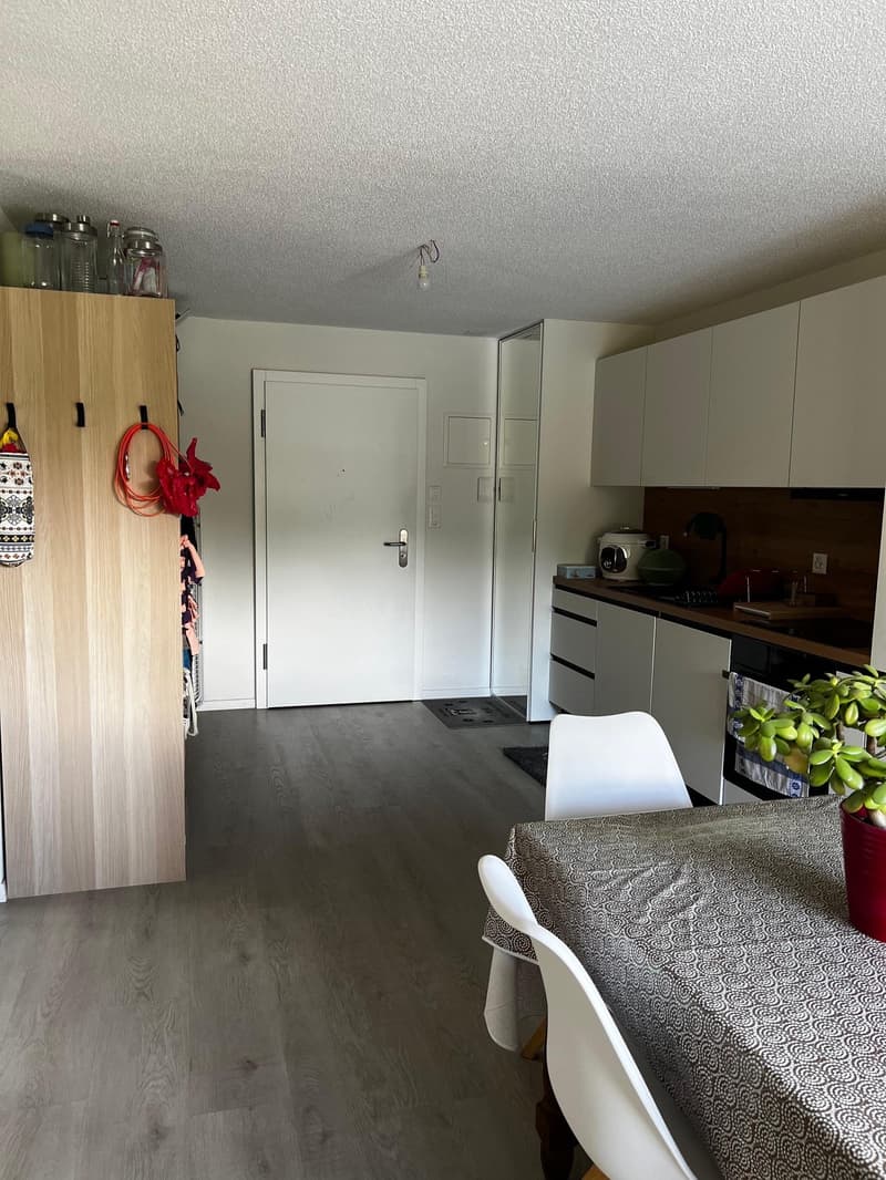 Prächtiges Loft mit privatem Garten (2)