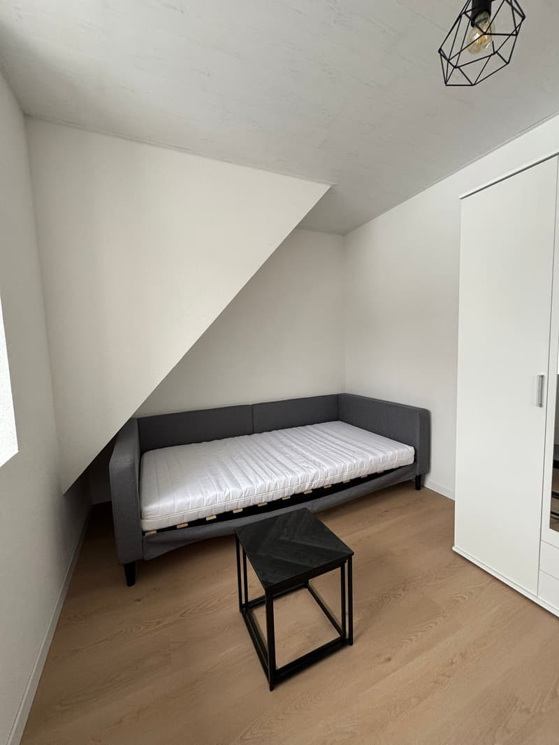 Schönes möbliertes Studio (5)