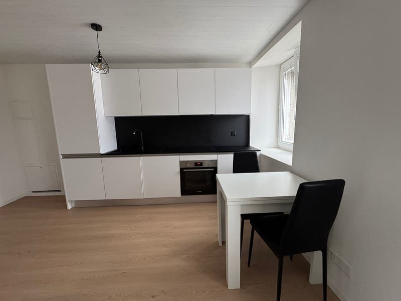 Schönes möbliertes Studio (1)