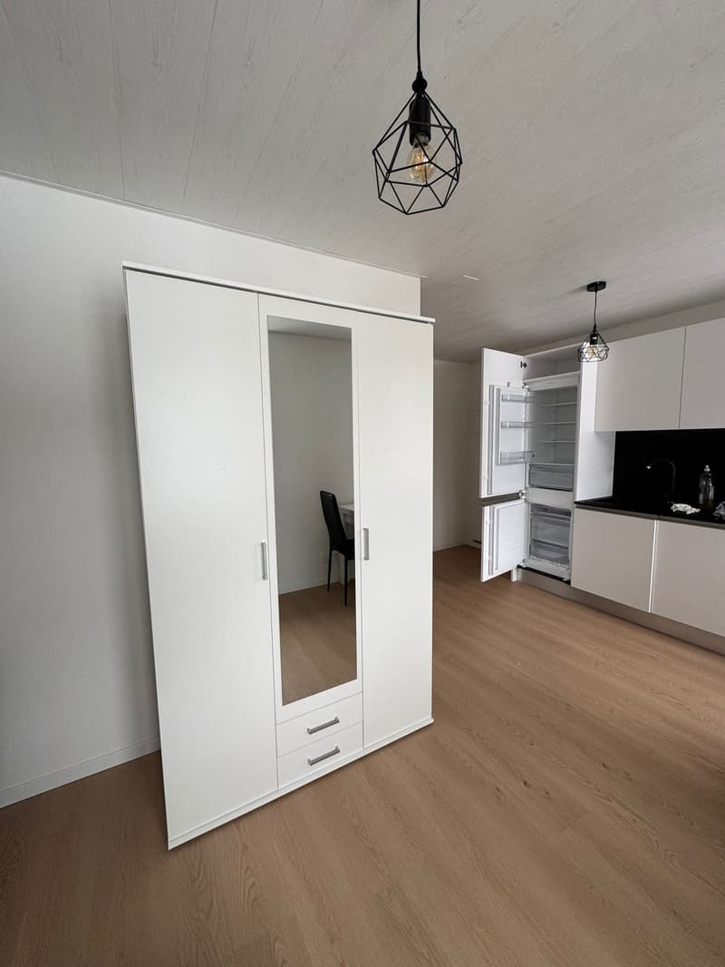 Schönes möbliertes Studio (4)