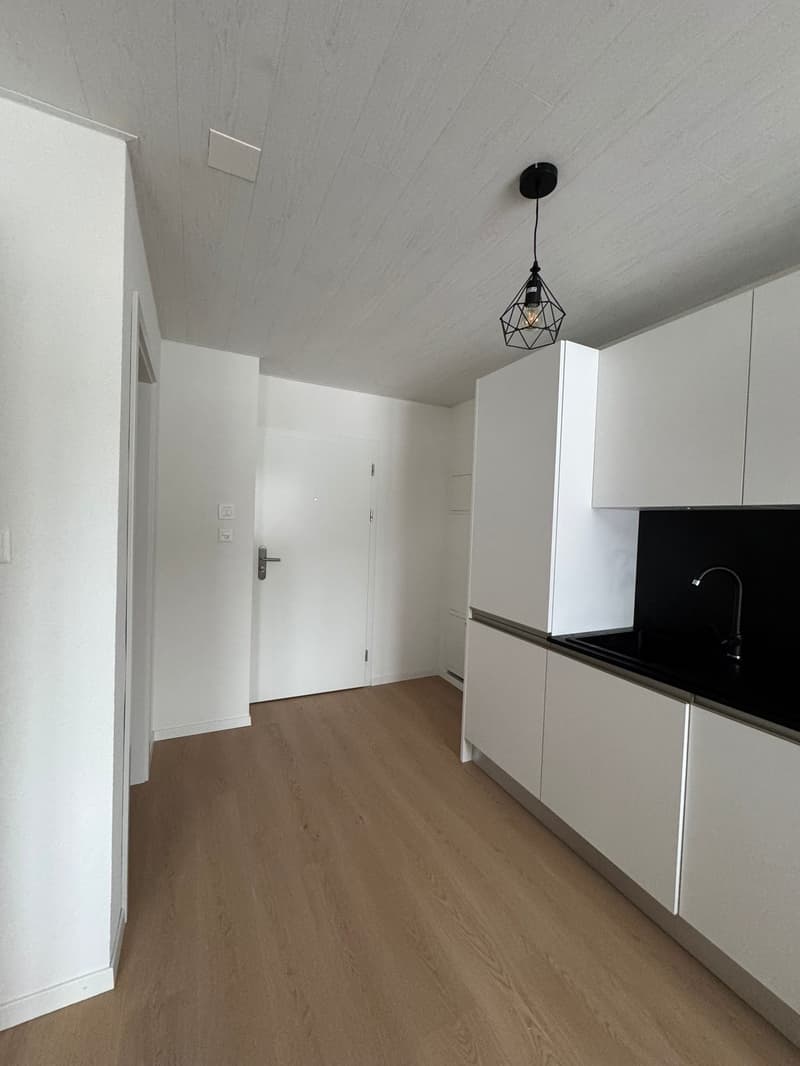 Schönes möbliertes Studio (3)