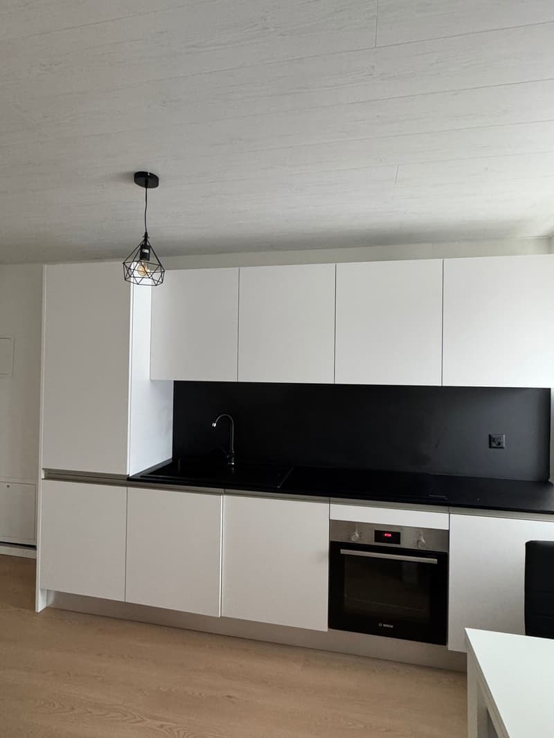 Schönes möbliertes Studio (2)