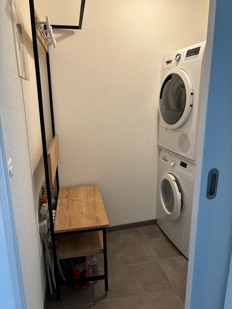 Appartamento di 2,5 locali (8)