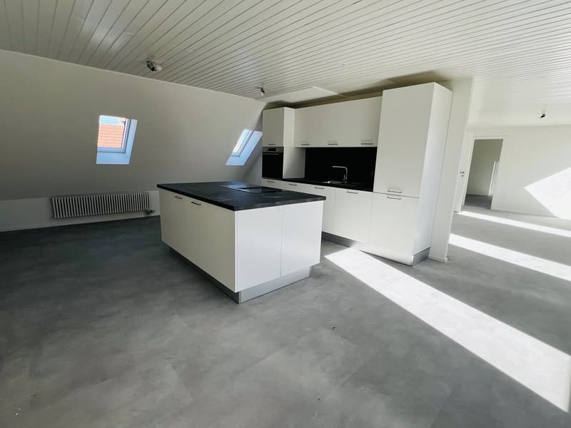 Appartamento molto grande di 2.5 locali di 80m2 (1)