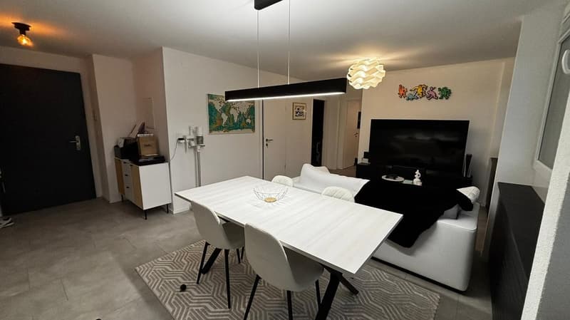 Appartamento 3.5 locali (4)