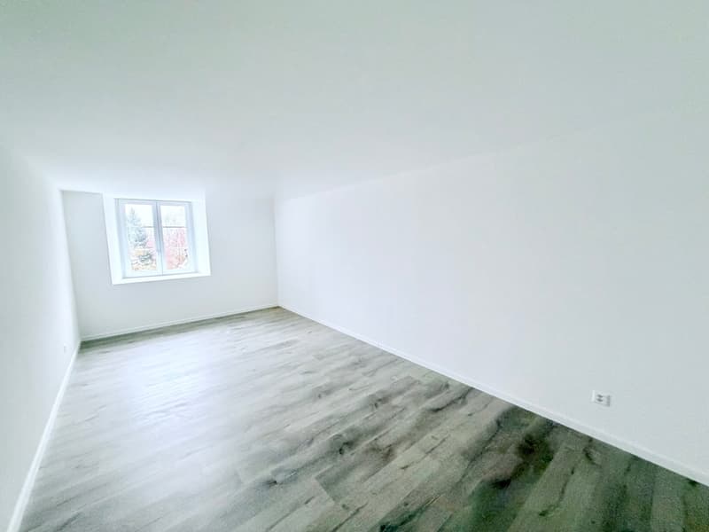 Splendid 2.5-room apartment (3)
