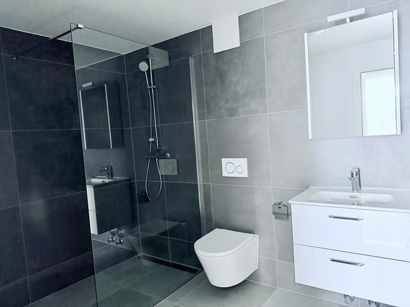 Splendid 2.5-room apartment (4)