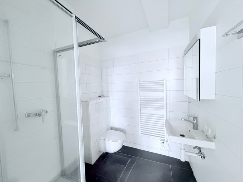 Splendid 4.5-room apartment (6)