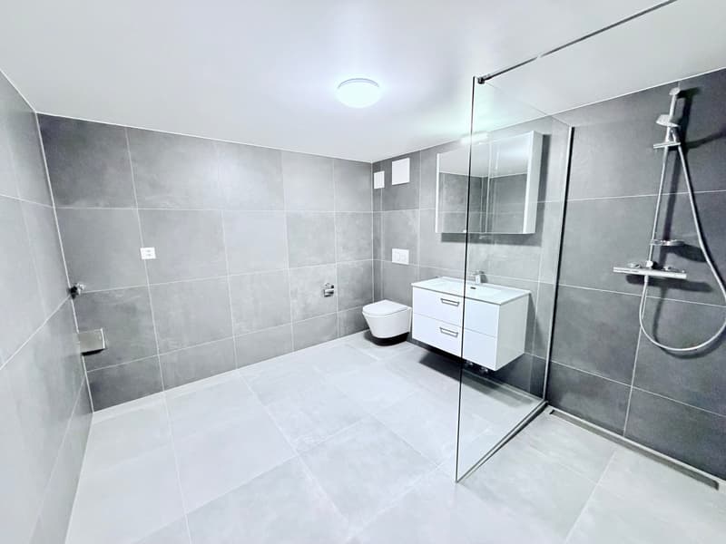 Splendid 3.5-room apartment (5)