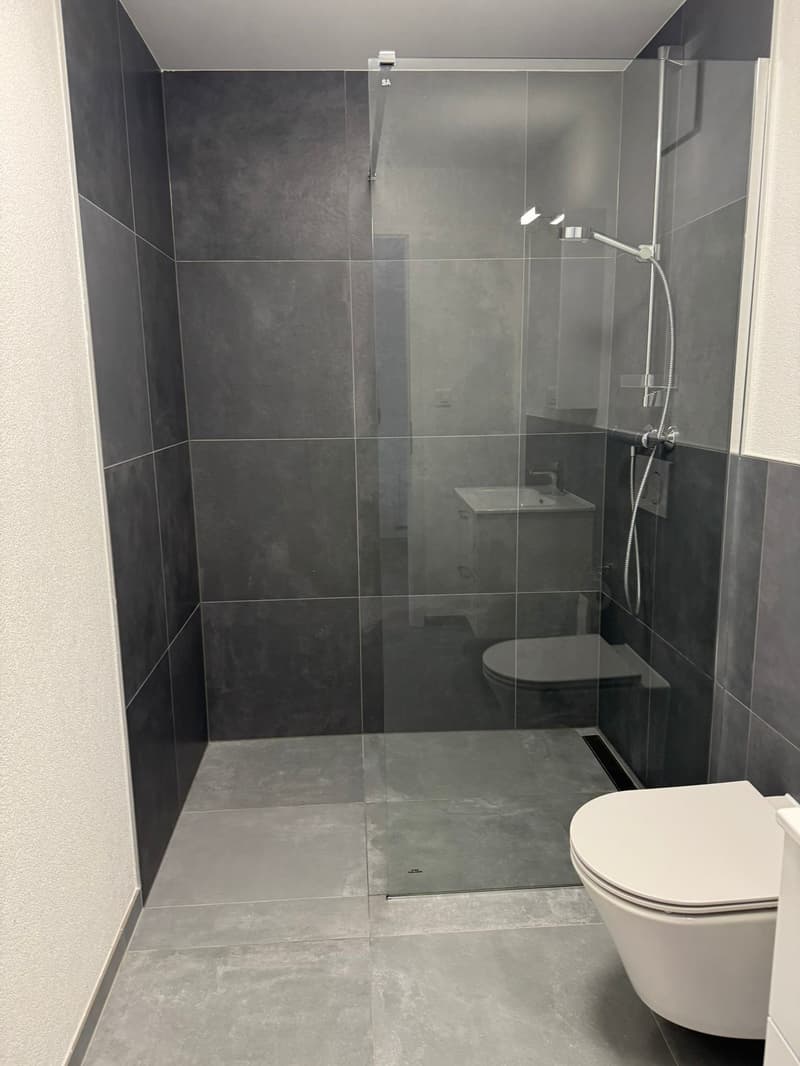 Magnifique studio meublé (7)