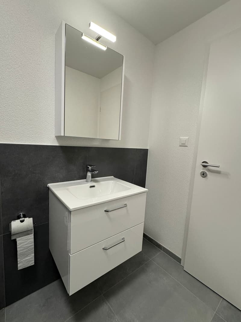 Magnifique studio meublé (6)