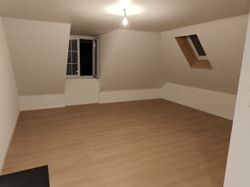 Grand appartement lumineux de 2,5 pièces (3)