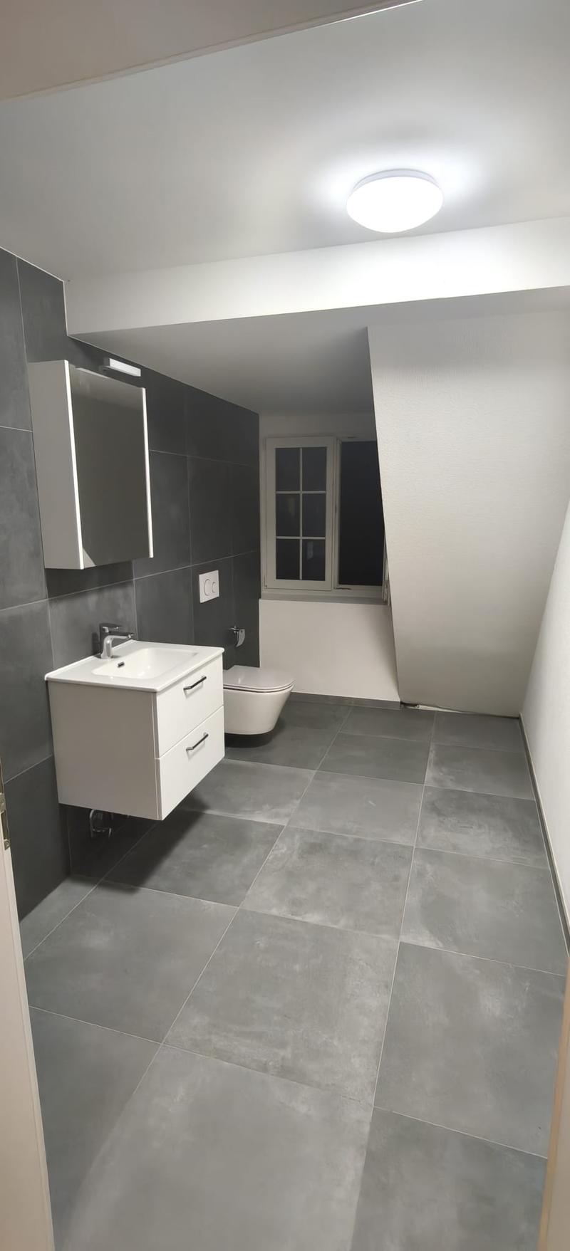 Grand appartement lumineux de 2,5 pièces (6)