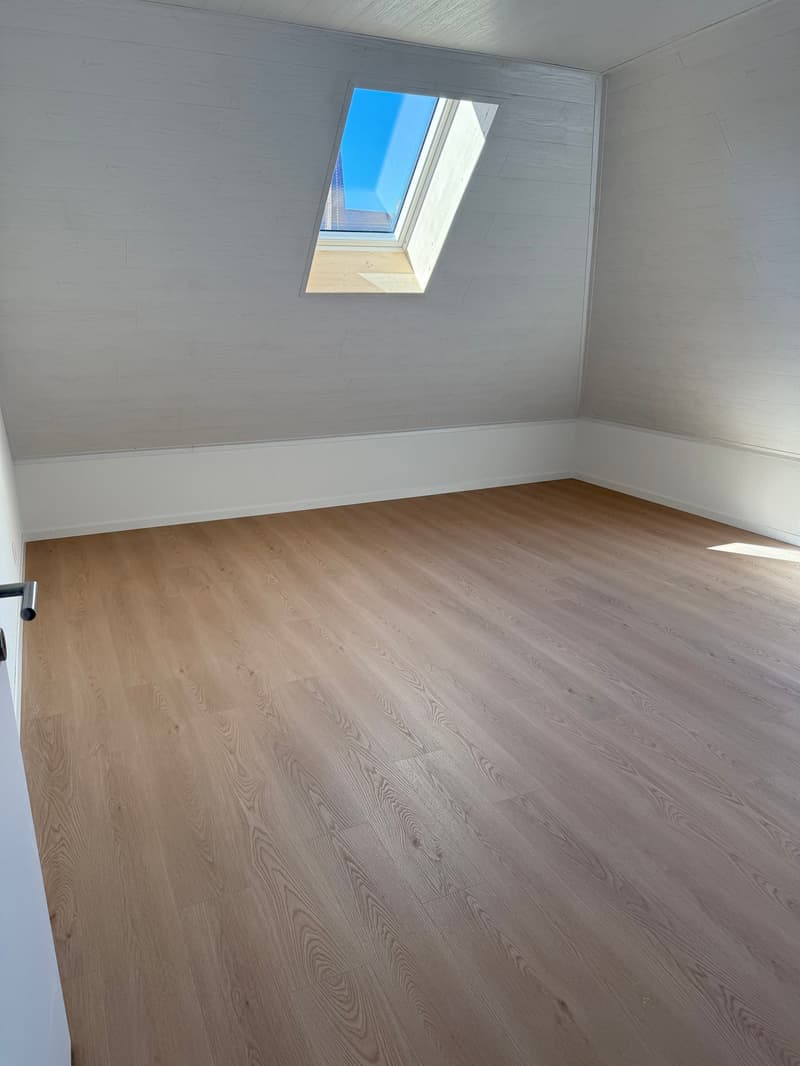Grand appartement lumineux de 2,5 pièces (5)