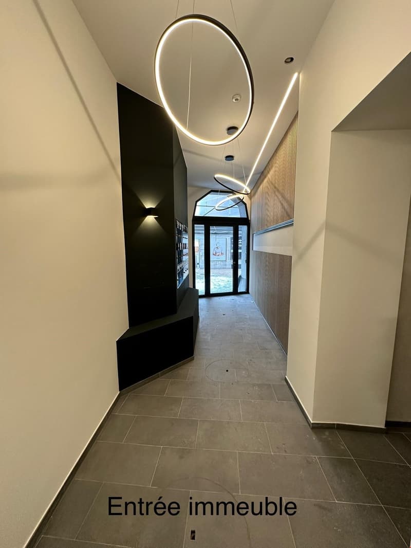 Magnifique appartement 2.5 pces (9)