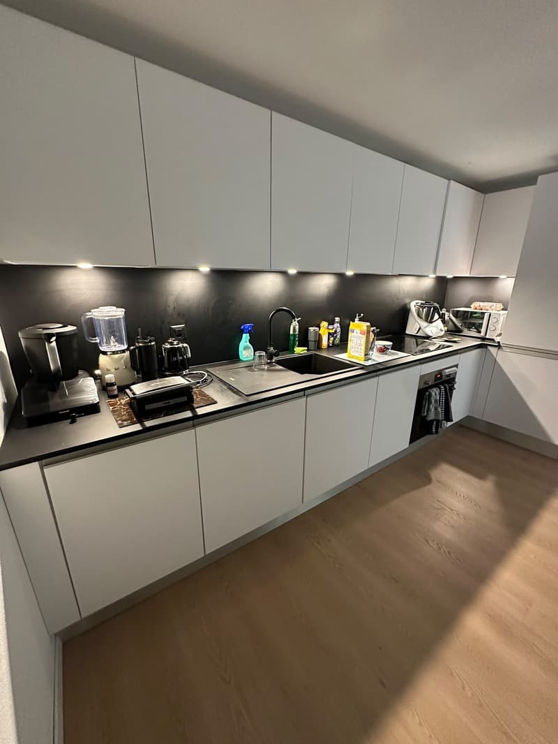 Magnifique appartement de 4.5 pièces avec petit balcon et terrasse commune (1)