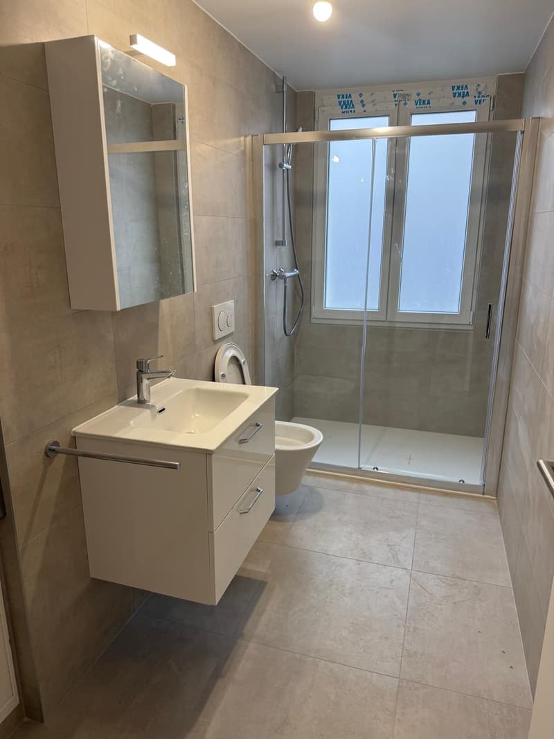 Appartement 3.5 pièces rénové à La Chaux-de-Fonds (3)