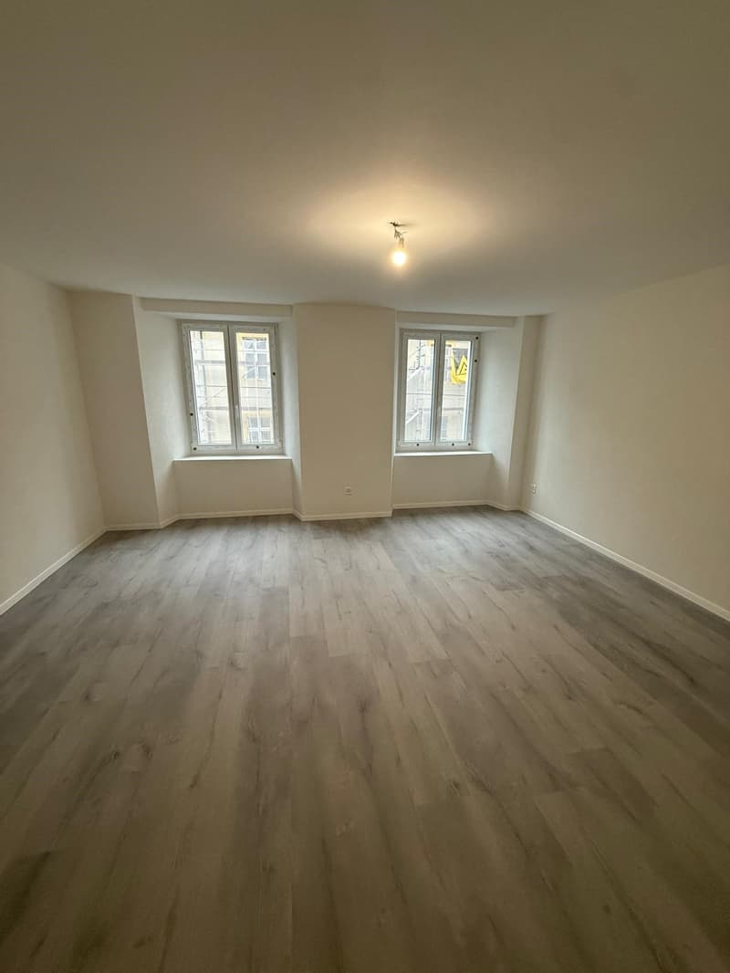Appartements 4.5 pièces rénovés à La Chaux-de-Fonds (4)
