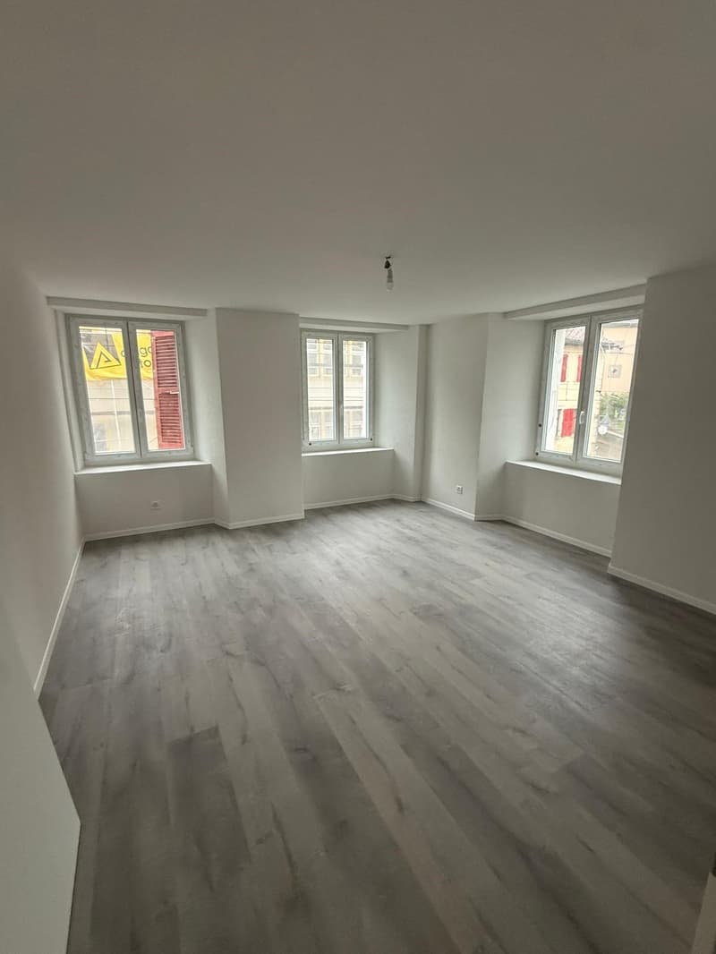 Appartements 4.5 pièces rénovés à La Chaux-de-Fonds (5)