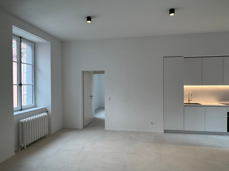 Incantevole 2.5 locali nuovo in edificio storico nel cuore di Moudon (3)