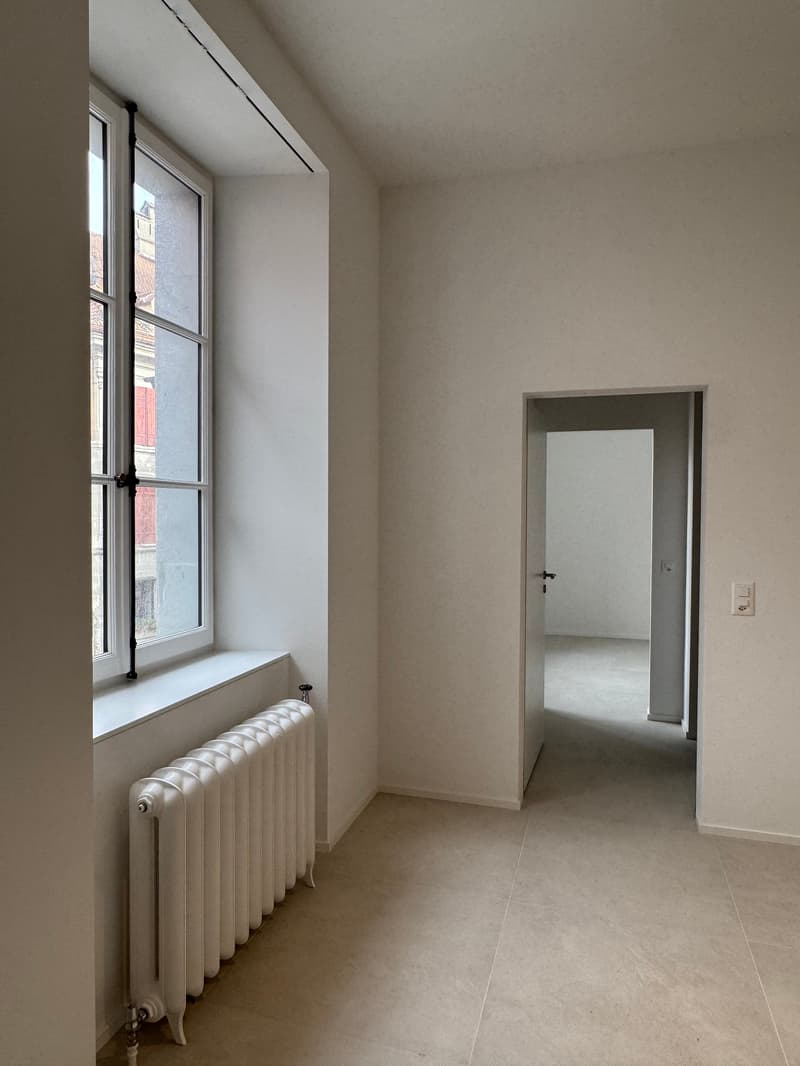 Incantevole 2.5 locali nuovo in edificio storico nel cuore di Moudon (2)