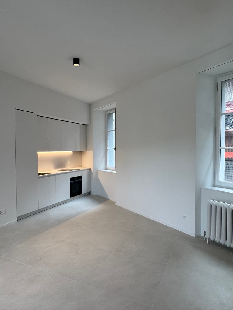 Incantevole 2.5 locali nuovo in edificio storico nel cuore di Moudon (5)