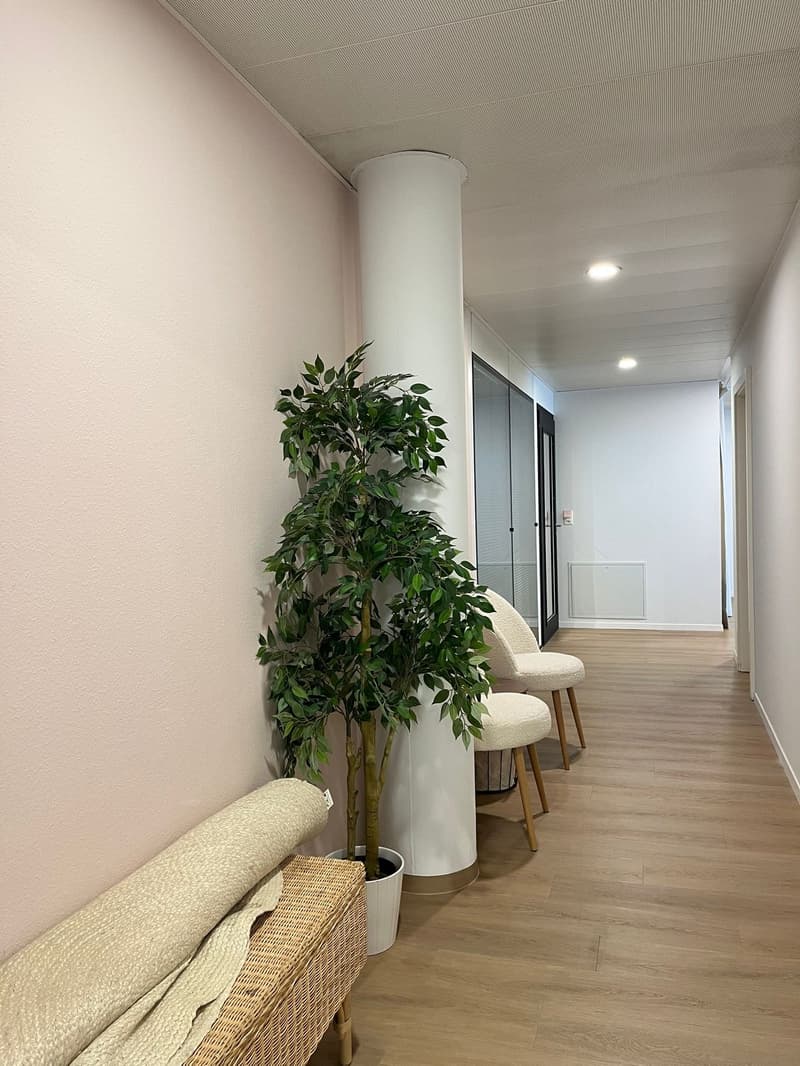 A hallway with wooden floors, a large potted plant, two white chairs, and a beige bench.
