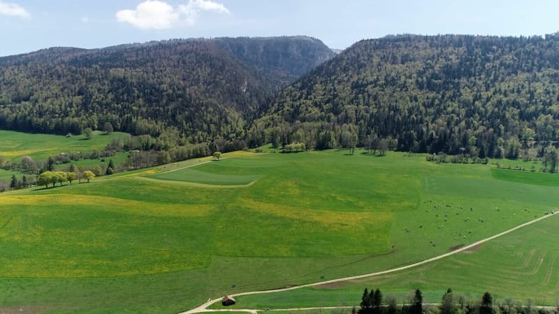 Appartement A03 de 4.5 pièces à Villeret (8)