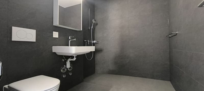 Penthouse 3.5 rooms in Villeret (9)