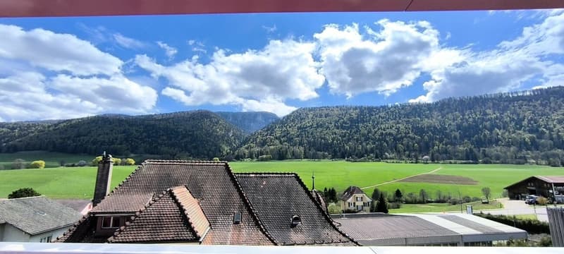 Penthouse 3.5 rooms in Villeret (7)