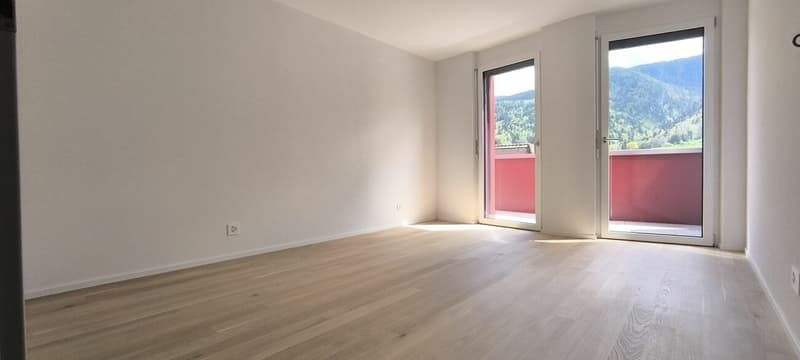 Penthouse 3.5 rooms in Villeret (5)
