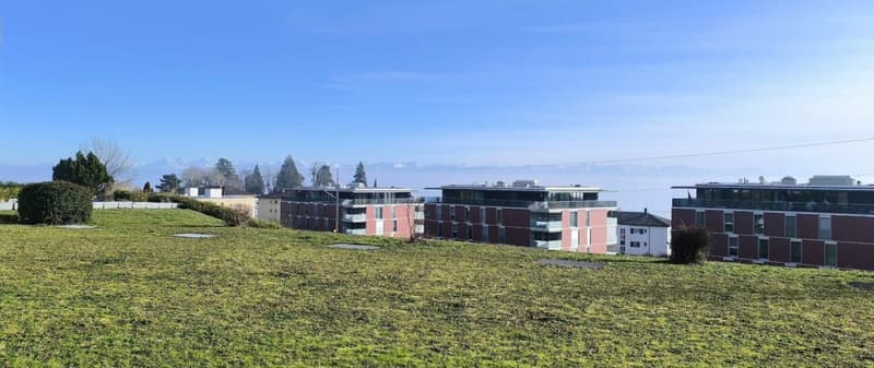 Apartment with 2.5 rooms, terrace and garden (1)
