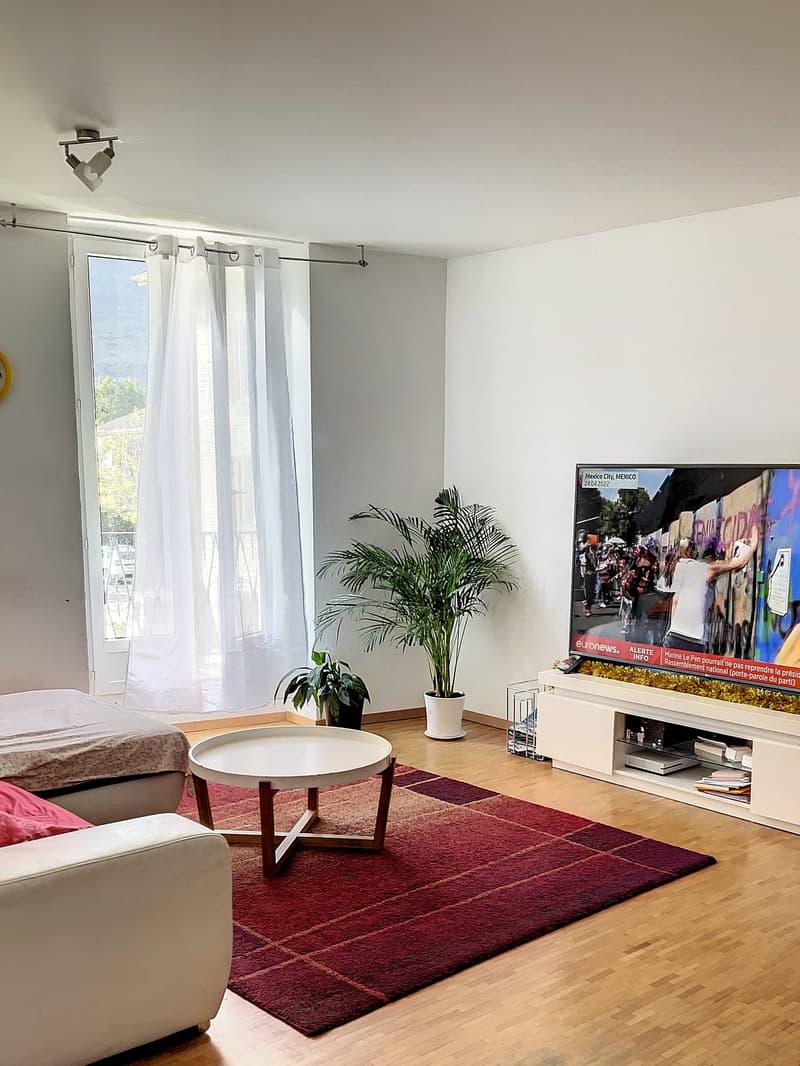 A room with wooden floors, a television, a sofa, a round table, two plants, and a curtained door.