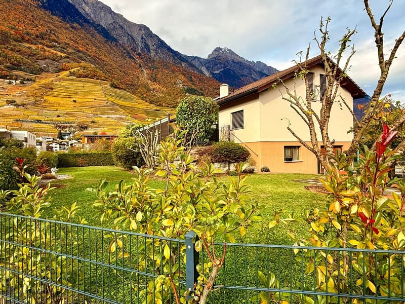 MAGNIFICENT VILLA renovated with land in FULLY (1)