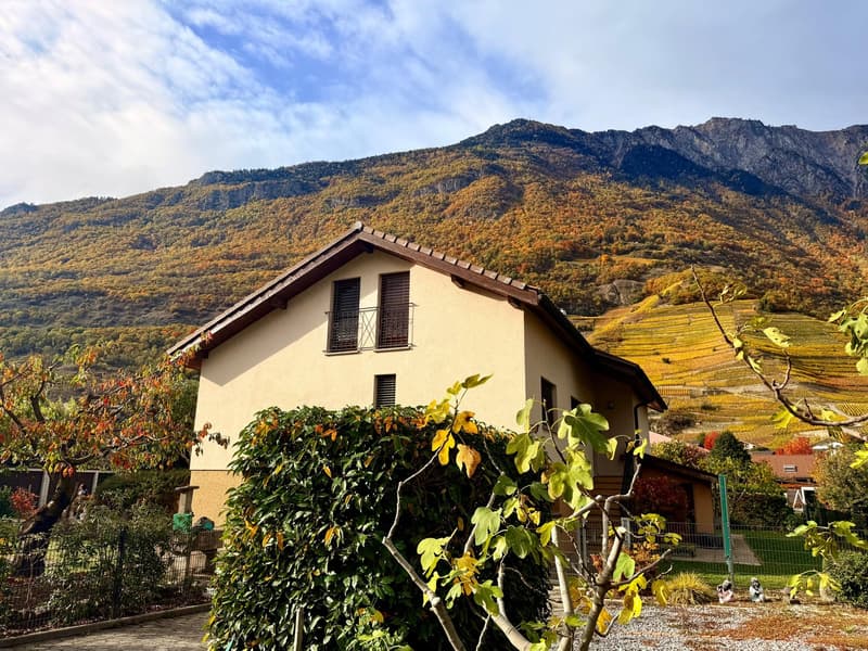 single family house with two floors, mountain in the background