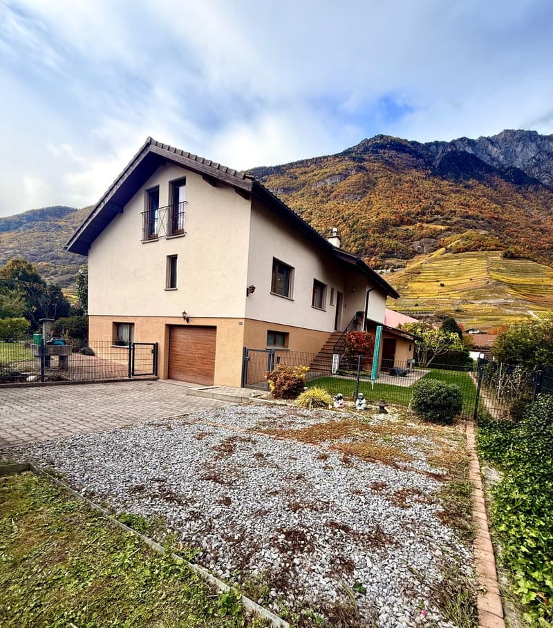 MAGNIFICENT VILLA renovated with land in FULLY (3)