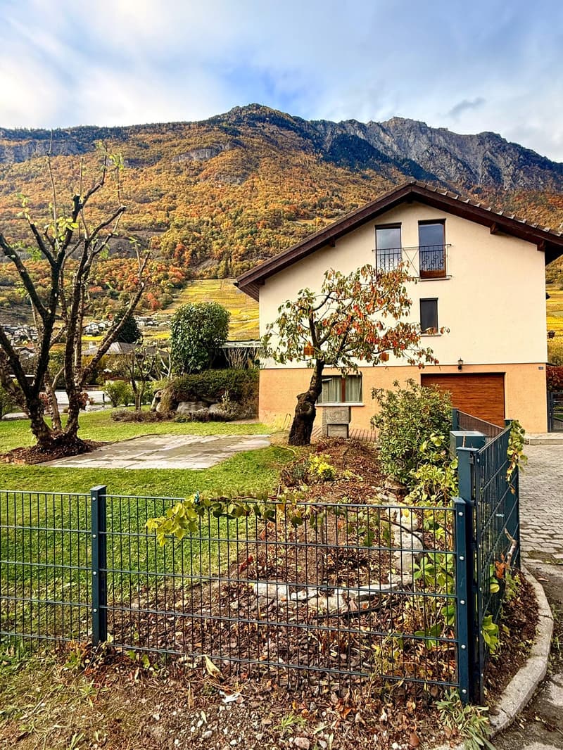 MAGNIFICENT VILLA renovated with land in FULLY (2)