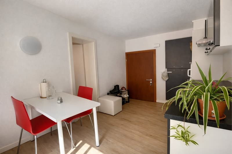 TO SNAP UP: Charming studio in the heart of Martigny (1)