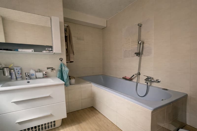 TO SNAP UP: Charming studio in the heart of Martigny (3)