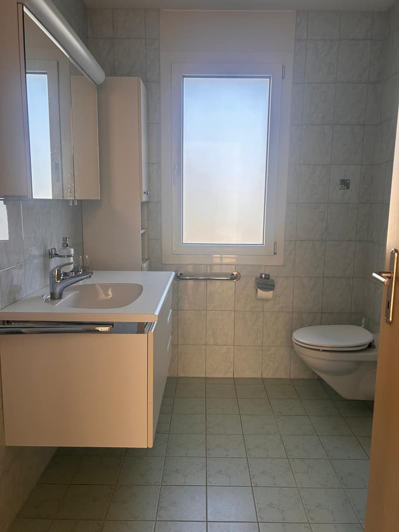 A SAISIR : 3,5 pièces lumineux avec terrasse à Fully (8)
