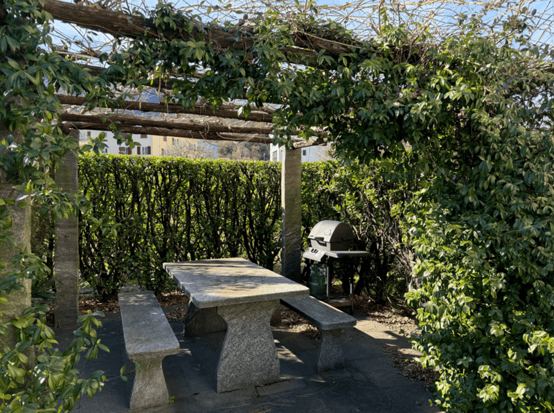 Appartement-jardin 3.5 pièces avec garage à Losone (2)