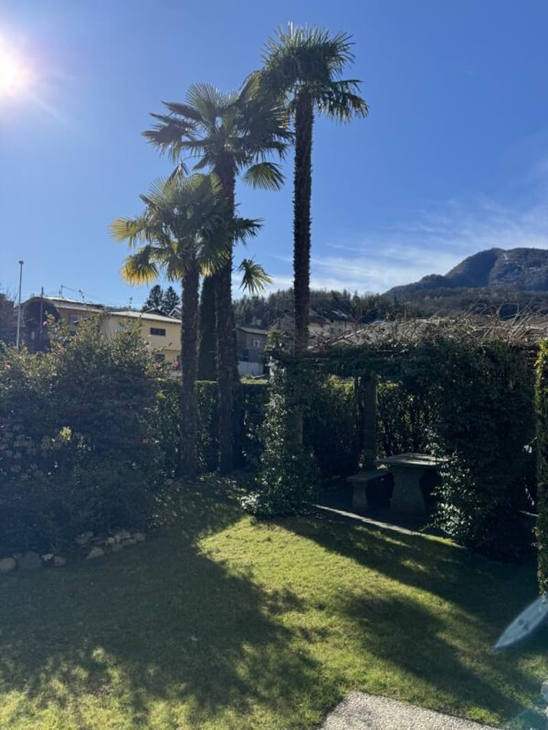 Appartement-jardin 3.5 pièces avec garage à Losone (5)
