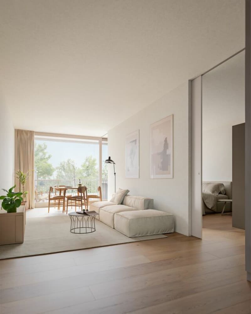 2.5-Room Owner-Occupied Apartment in Binningen (2)