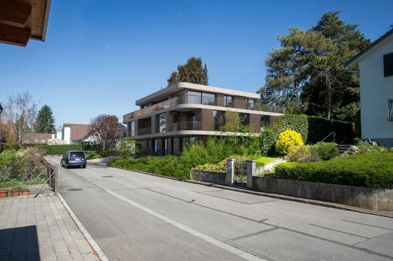 2.5-Room Owner-Occupied Apartment in Binningen (5)