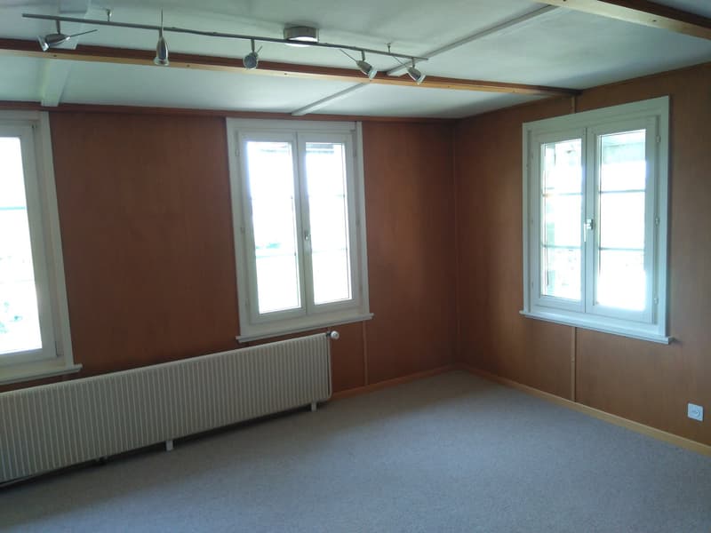 empty room, wooden wall, 3 windows, heating, recessed lighting, electrical outlet
