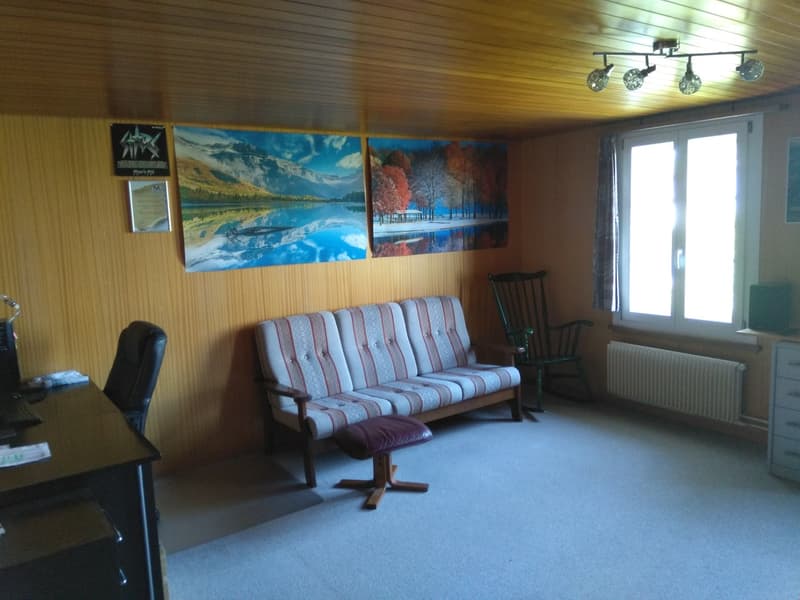 A room with a couch, a wooden chair, a desk, a monitor, a radiator, a lamp, and wall paintings.
