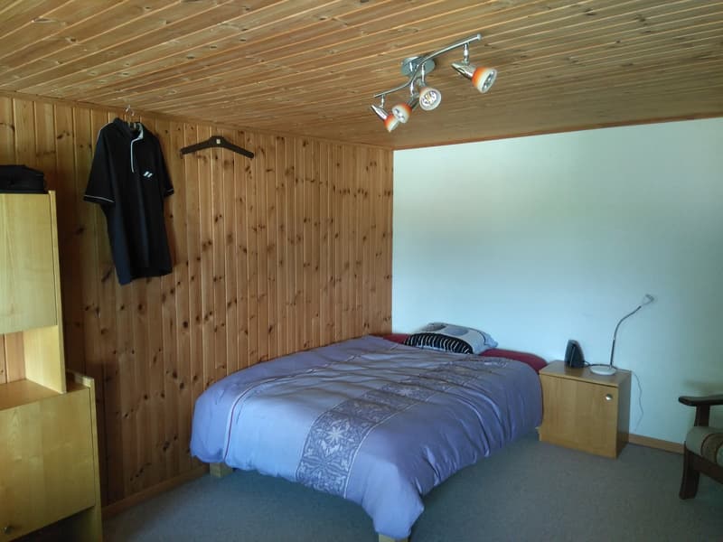 Bedroom: bed, bedside table, lamp, night lamp, wardrobe, wooden ceiling, wooden wall, wooden floor, wooden chair